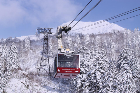 Explore Hokkaido: Penguins, Ramen & Scenic Ropeway Ride