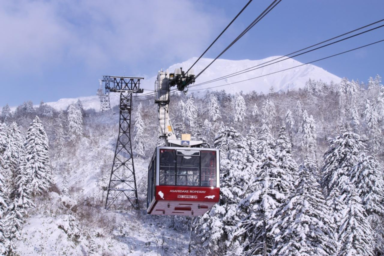 Explore Hokkaido: Penguins, Ramen & Scenic Ropeway Ride