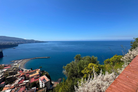 Rome: Pompeii & Amalfi Coast Day Trip, Skip-the-Line POMPEII ONLY Day Experience – No Amalfi Coast Included
