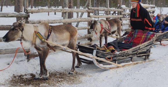 Rovaniemi: Reindeer Farm Experience with Sleigh Ride