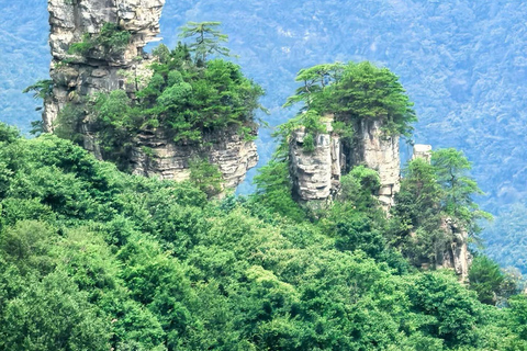 3-Day Zhangjiajie Highlights, Tea & Culture Small Group Tour Private Tour