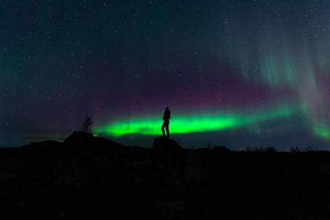 Svolvær: Ultieme jacht op Aurora
