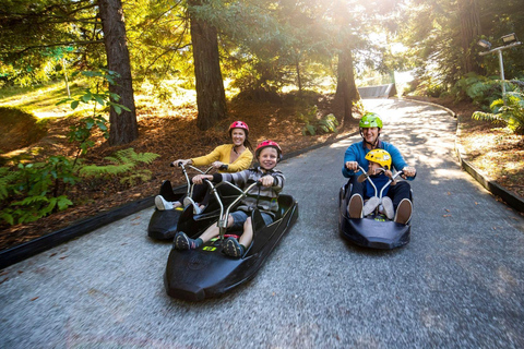 Vanuit Auckland: TE-PUIA GEOTHERMAL, REDWOODS &amp; BLUE SPRINGS