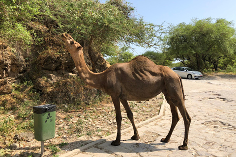 West Salalah Highlights: Coastal Wonders &amp; Scenic Views