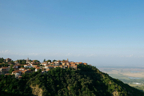 Tbilisi: 5-Day Private Guided Tour with Wine Tasting