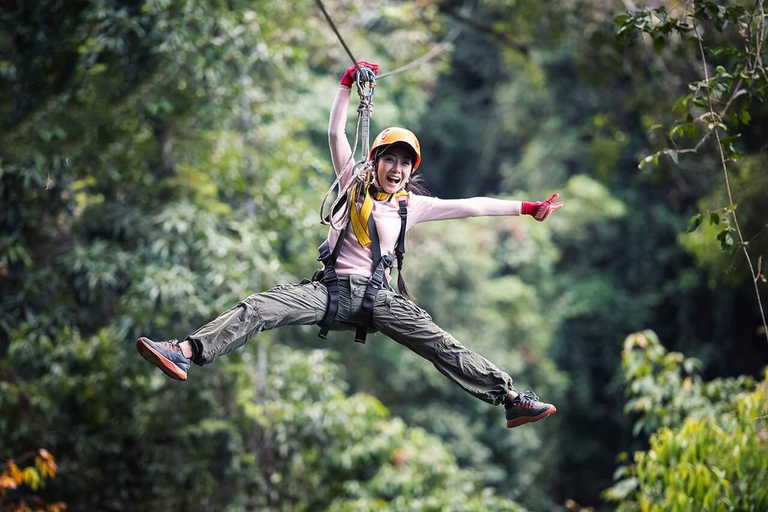 Zanzibar: Masingini Forest, Monkeys & Zipline adventure Masingini Forest, Monkeys & Zipline adventure & transfer