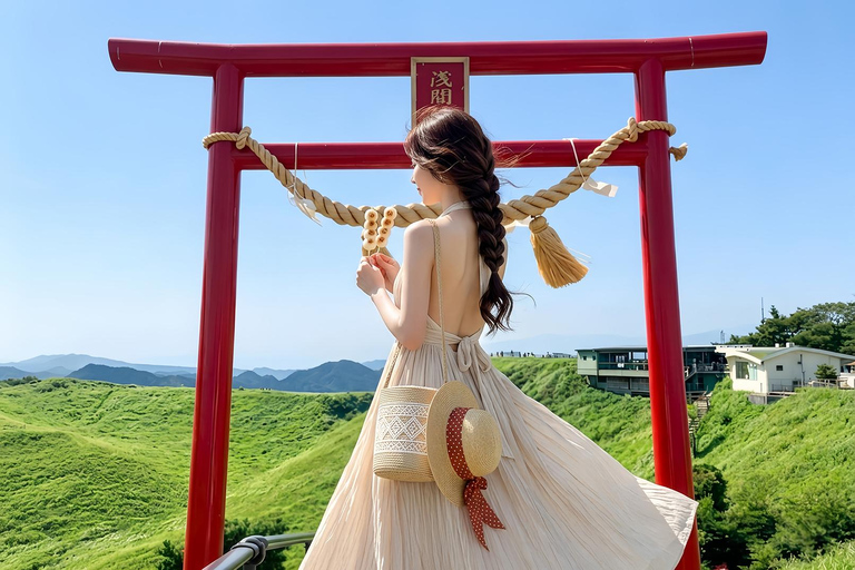 Small Group Day Tour:Omuro Mountain & the Izu Scenic Railway Hotel Transfer Option
