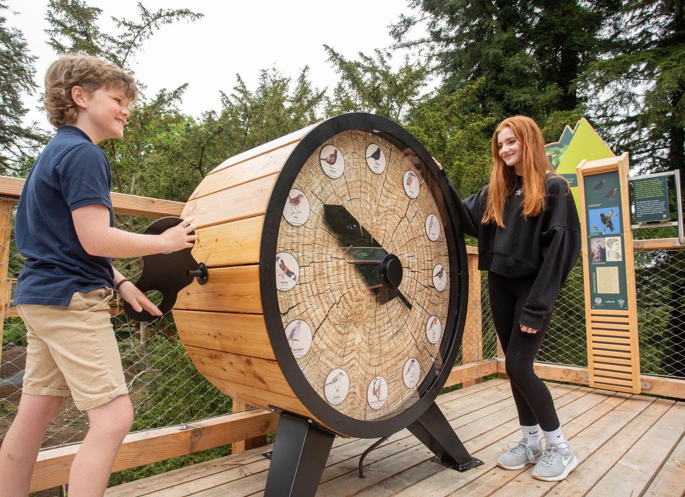 Individuelle entrébilletter til trætopstien og udsigtstårnet