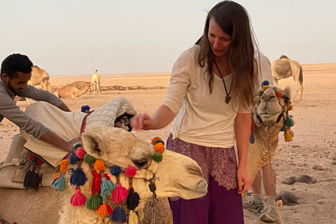 Hurghada: Hiking , dinner & stargazing Advanced hiking tour & camel ride