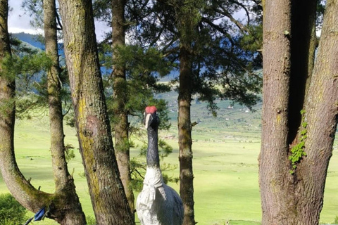 7-Days in Bhutan with River Rafting, Farm Lunch & Stone Bath