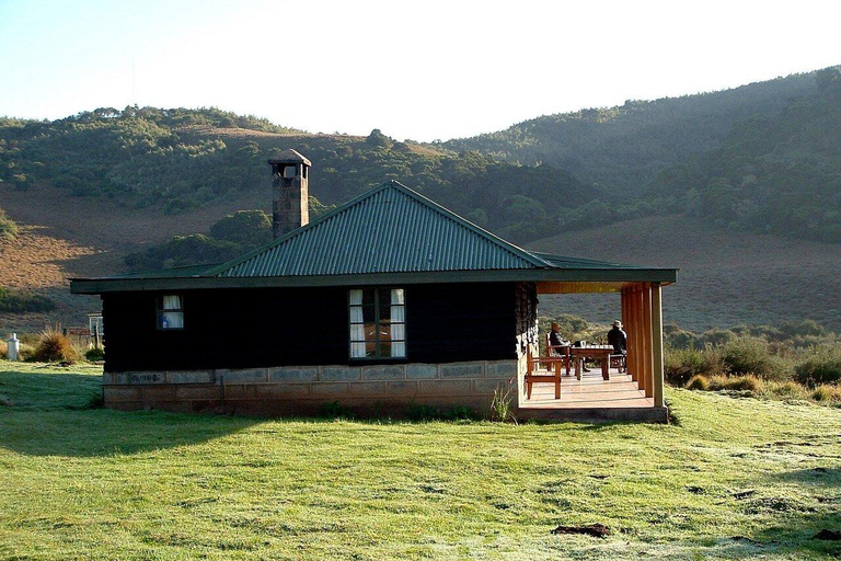 Nyeri: Aberdare National Park Safari with Guide