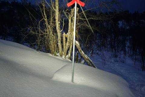 Abisko: Aurora Night & Swedish Glögg - Snowshoe Experience