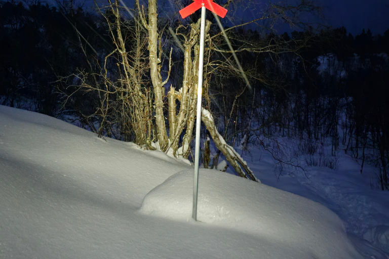 Abisko: Aurora Night & Swedish Glögg - Snowshoe Experience