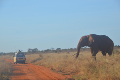 Von Mombasa/Diani: 2-tägige Tsavo-Ost-Nationalpark-Safari