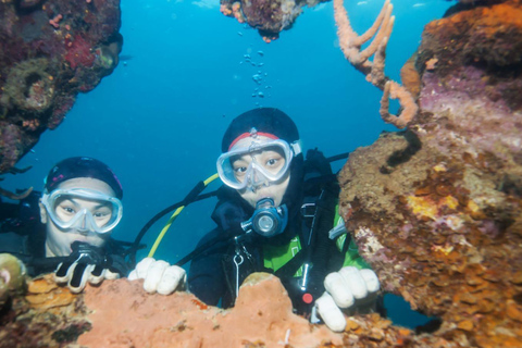 From Antalya: Scuba Diving With Lunch and Transfer
