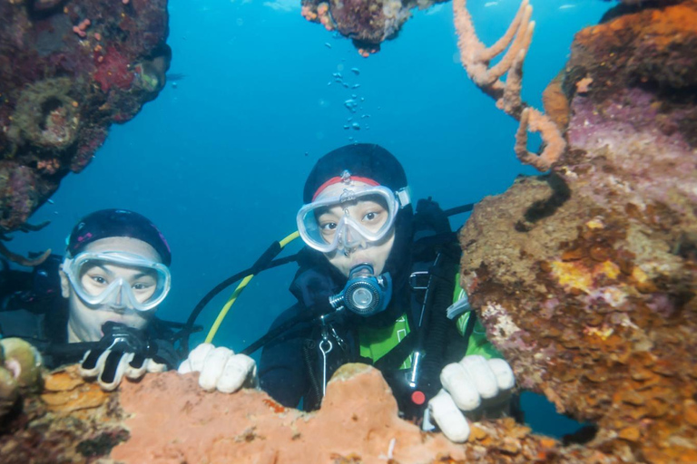From Antalya: Scuba Diving With Lunch and Transfer