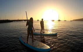  - Canarie.it