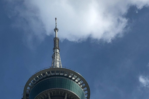 From Hong Kong: Macau Day Tour via HZMB w/Lunch & Transfers