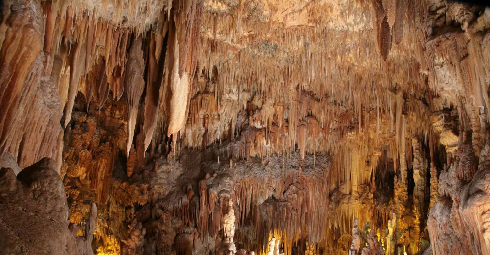 Tour "Tra terra e mare" (Grotte di Castellana e Polignano) - Hizvo