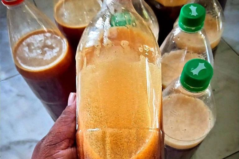 UNESCO Kitul Production Program Tour in a Kandy Village