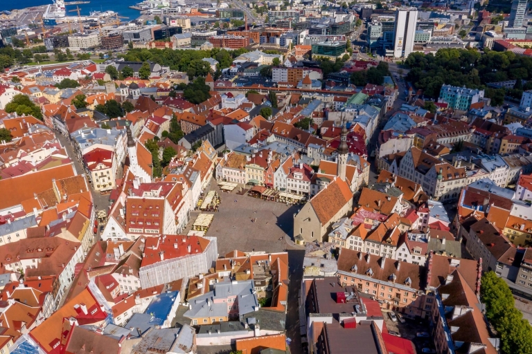 Tallin: Paseo exprés con un lugareño en 60 minutos