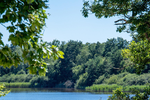 Combreux: Alquiler de embarcaciones náuticasPedaló 2 horas