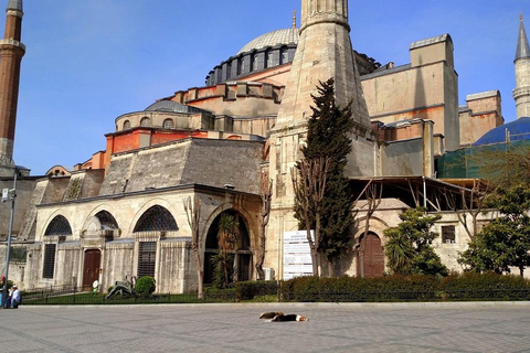 Istanbul: Hagia Sofia &amp; Basilica Cistern Tour med biljetter