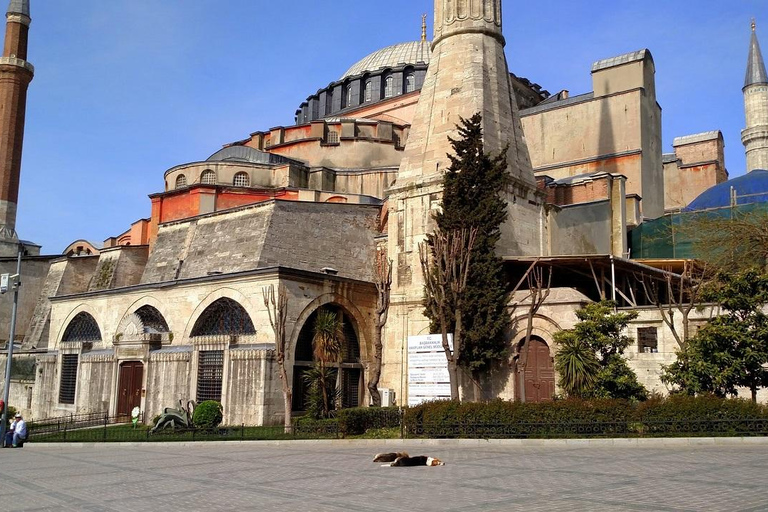 Istanbul: Hagia Sofia &amp; Basilica Cistern Tour med biljetter