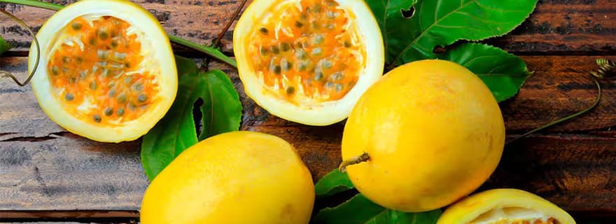 Cochabamba : Cours de cuisine bolivienne avec vins d'altitude