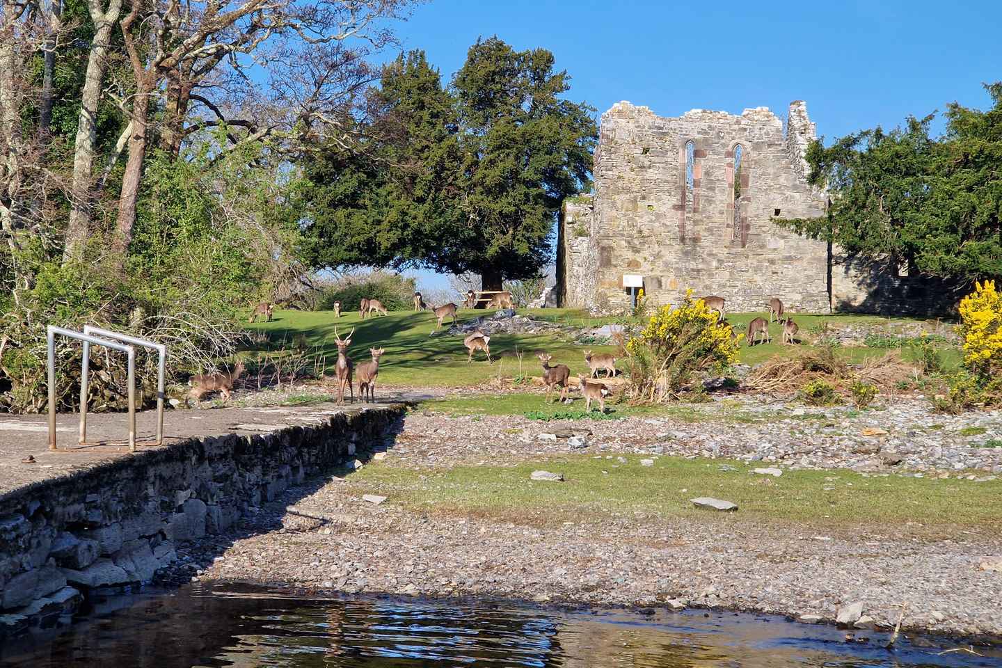Killarney: Orienteering Boat Tour on the Lakes of Killarney