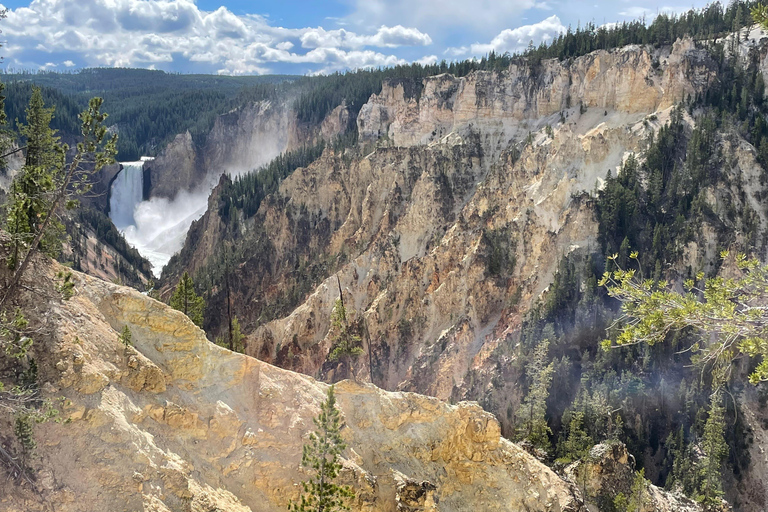 5 Days Tours | Yellowstone National Park, Grand Teton Quad occupancy