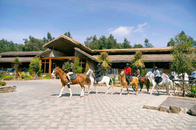 Addis Ababa: Flavors & Views Adventure