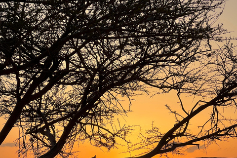 Wadi Rum: pustynna przygoda samochodem terenowym z lunchem i herbatąCałodniowa wycieczka jeepem z obiadem – 9 godzin