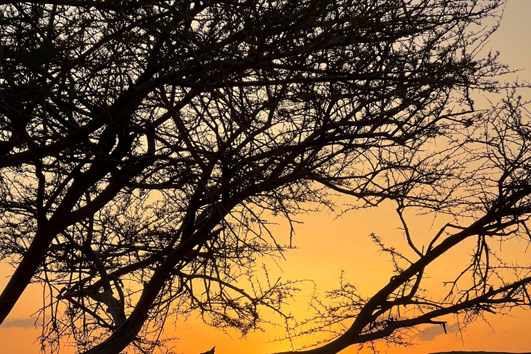 Wadi Rum: pustynna przygoda samochodem terenowym z lunchem i herbatąCałodniowa wycieczka jeepem z obiadem – 9 godzin