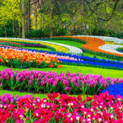 Amsterdam : fromage, sabots, fleurs et moulins à vent