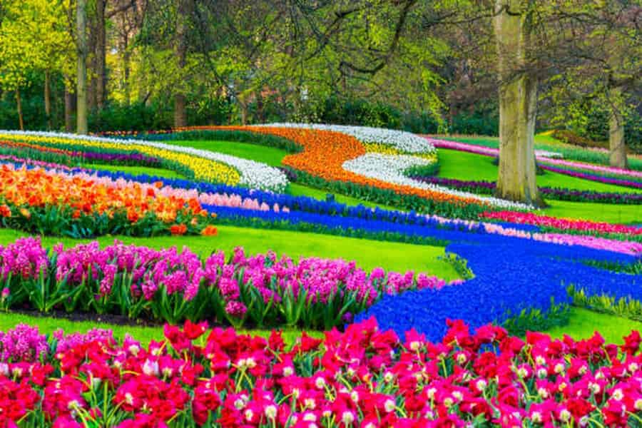 Amsterdam: Käse, Clogs, Blumen und Windmühlen-Tour. Foto: GetYourGuide Amsterdam: Käse, Clogs, Blumen und Windmühlen-Tour. Foto: GetYourGuide