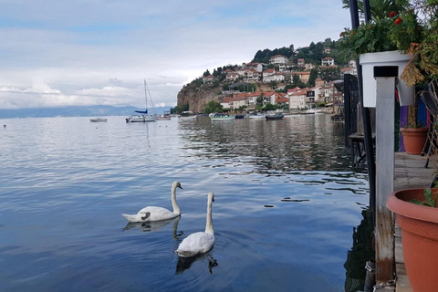 Desde Skopje: Excursión de 4 días por Albania, Kosovo y Macedonia del Norte