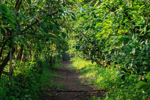 Bugesera Farm Experience, Local Meal & Sunset Boat Tour