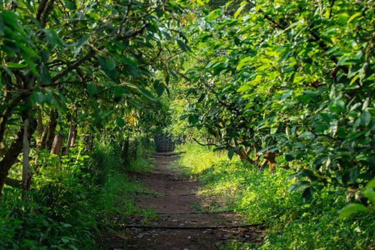 Bugesera Farm Experience, Local Meal & Sunset Boat Tour