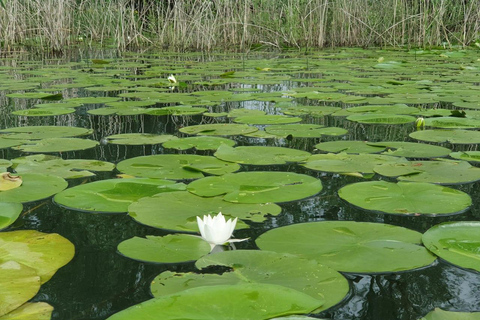 Lake Skadar unique day-long kayaking tour from Budva