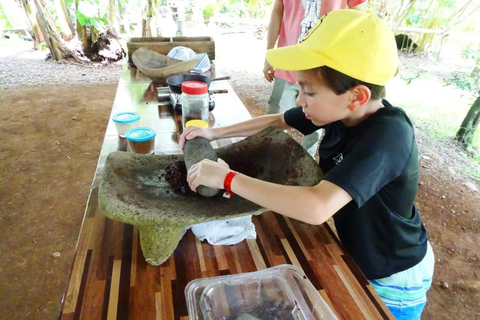 Rainforest Combo : Chocolate, Sloth & Nature