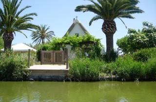 Valencia: Xativa Burg und Albufera Lagune Private Tour