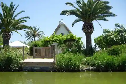 Valência: Castelo de Xativa e Lagoa de Albufera Tour Privado
