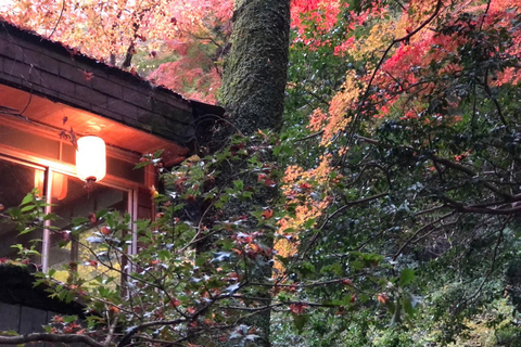 Get to know Minoo from Osaka. Katsuoji Temple, Ryuanji Waterfall and Ryuanji Temple