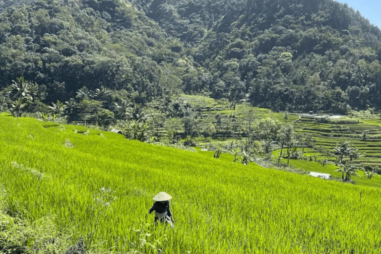 Yogyakarta; waterval en terrasvormige rijstvelden