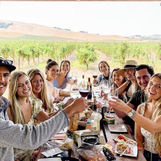Da San Francisco: tour del vino di un'intera giornata nella Napa e nella Sonoma Valley