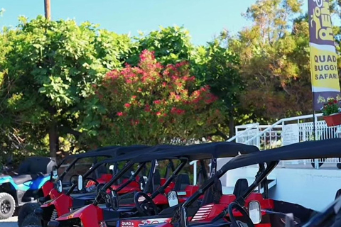 Paphos: 4.5-Hour Half-Day Quad & Buggy Safari Tour Quad Bike – Up to 2 People