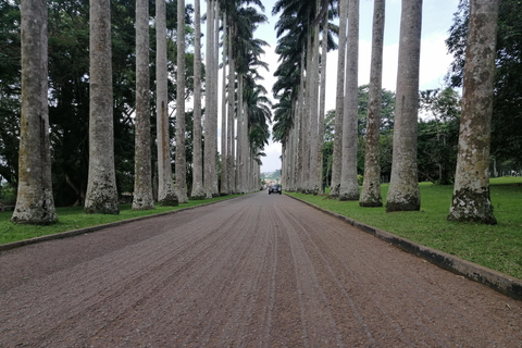 Accra: Aburi botaniska trädgårdar och vattenfall Privat tur