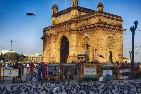 From Delhi: 4-Day Golden Triangle & Ranthambore Tiger Safari 3 Star Hotel + Car + Guide + Monument Tickets + Tiger Safari