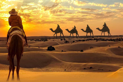 Doha: Safari privado por el desierto con paseo en camello y Sandboarding